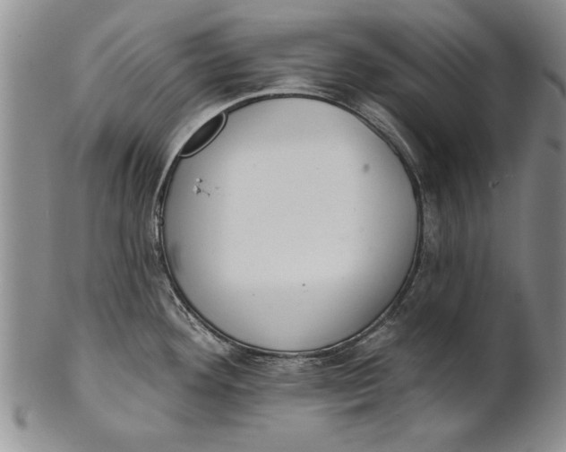 X0000100751292200807101654