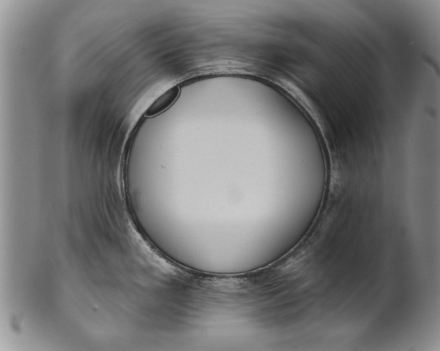 X0000100751293200807101654