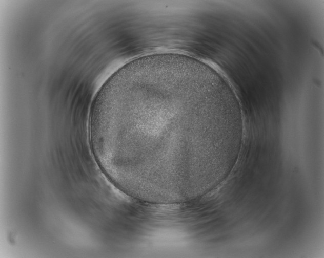 X0000100751294200807101654