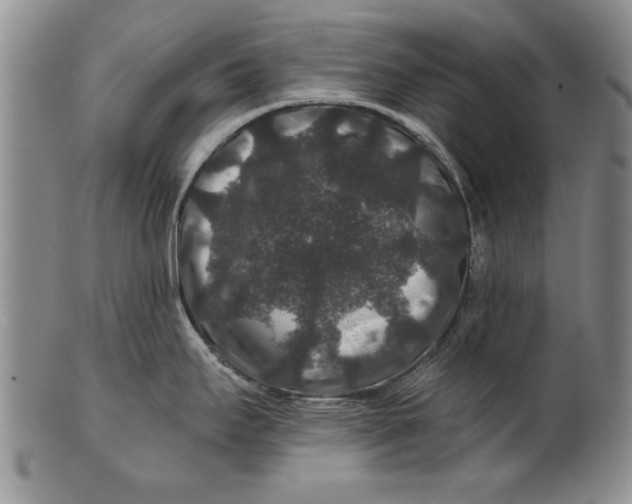 X0000100751295200807101654