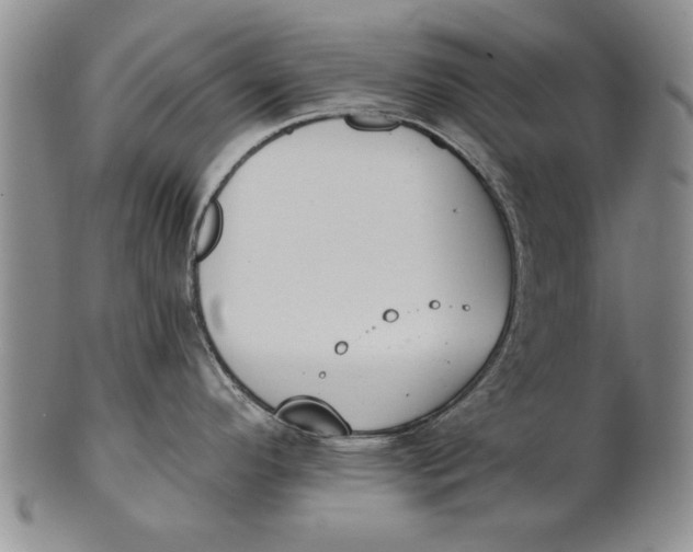 X0000100751296200807101654