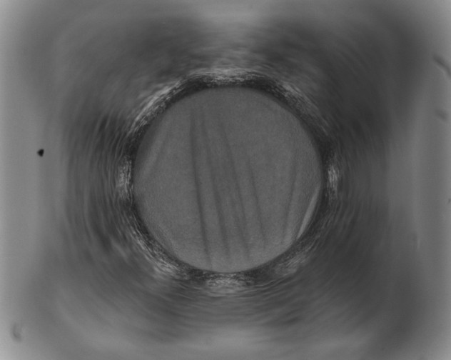 X0000100751300200807101654