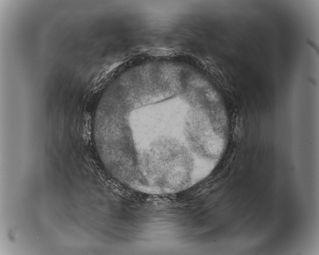 X0000100751301200807101654