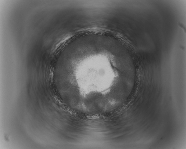 X0000100751302200807101654