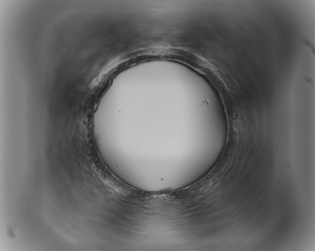 X0000100751304200807101654