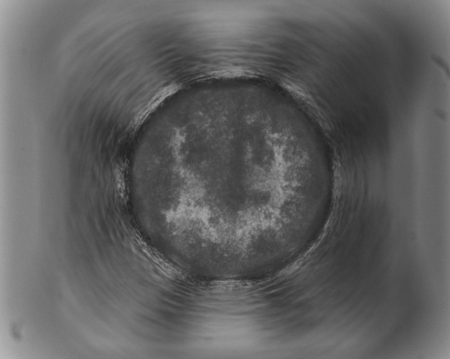 X0000100751305200807101654