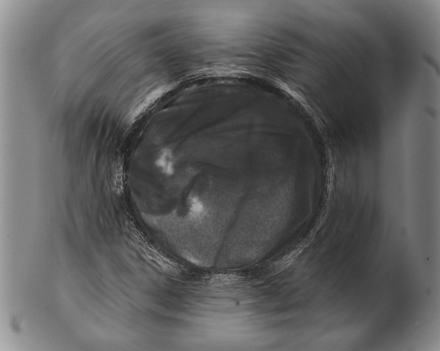 X0000100751306200807101654