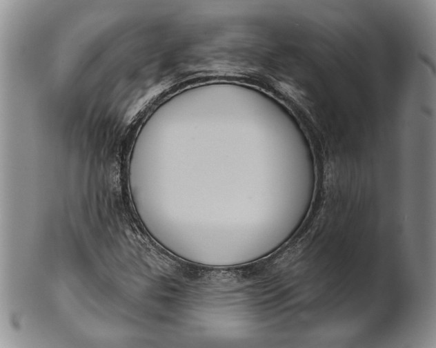 X0000100751307200807101654