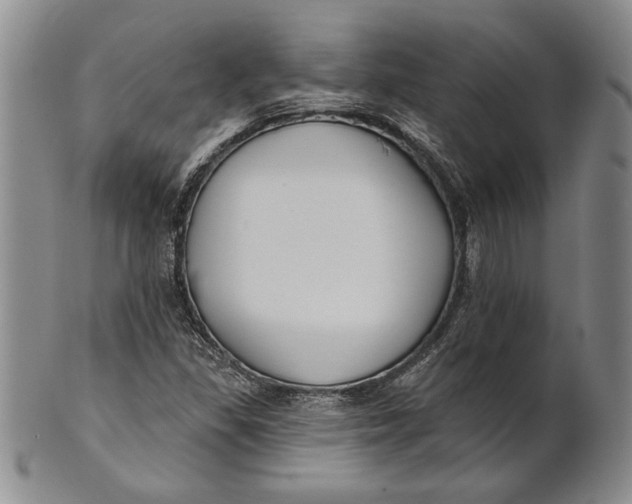 X0000100751309200807101654