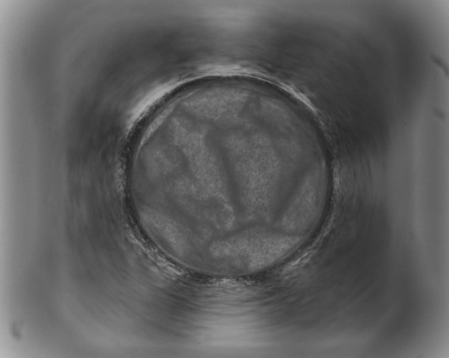 X0000100751311200807101654