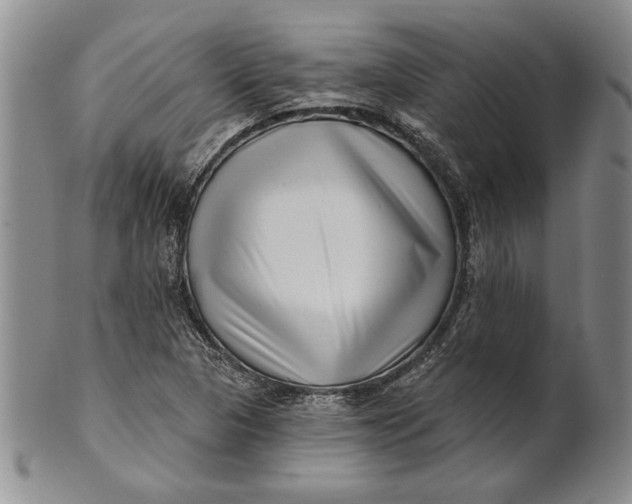 X0000100751313200807101654