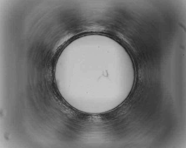 X0000100751315200807101654