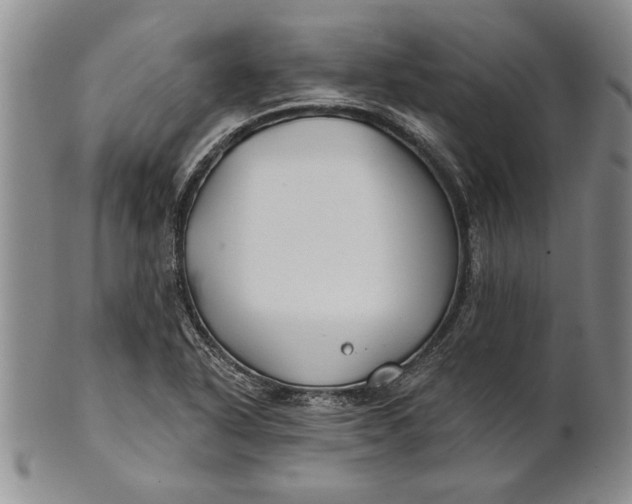 X0000100751318200807101654