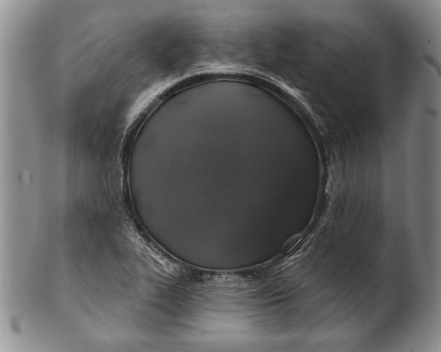 X0000100751319200807101654