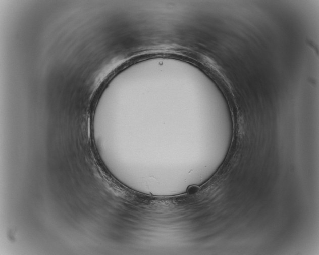 X0000100751320200807101654