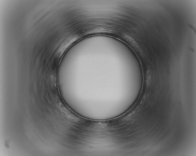 X0000100751321200807101654