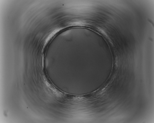 X0000100751323200807101654