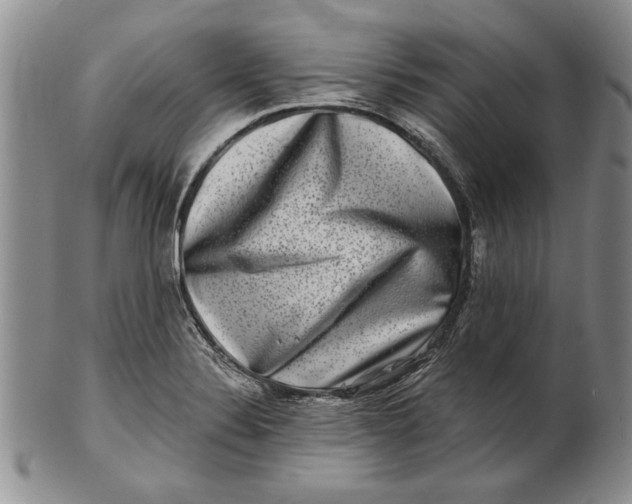 X0000100751324200807101654