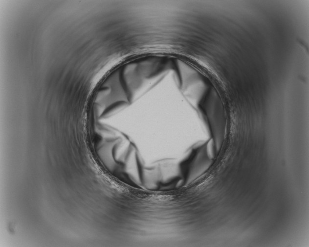 X0000100751325200807101654