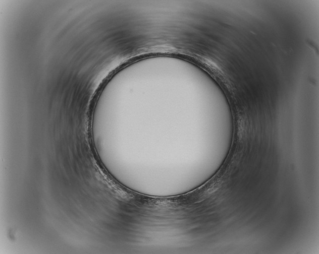 X0000100751326200807101654