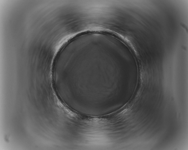 X0000100751327200807101654