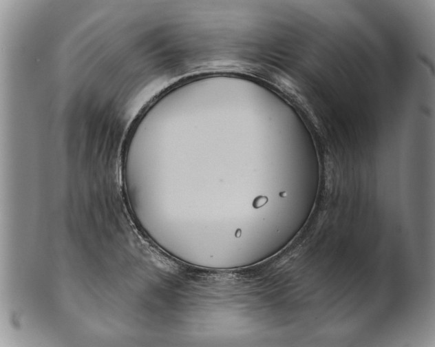 X0000100751328200807101654