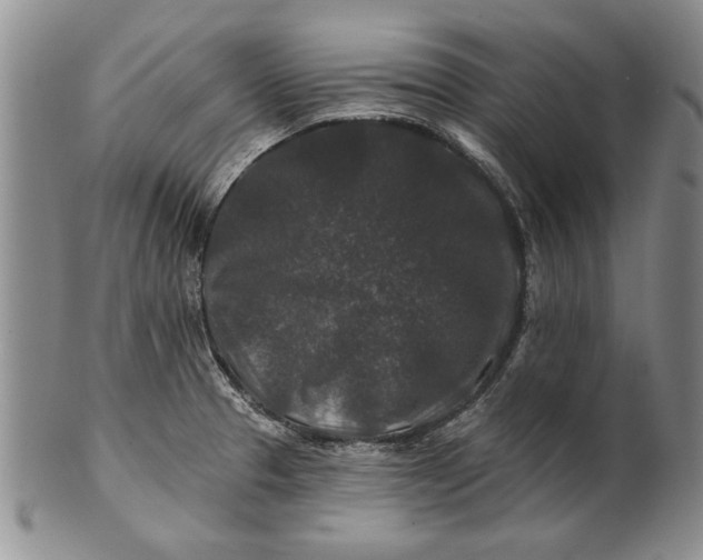 X0000100751329200807101654