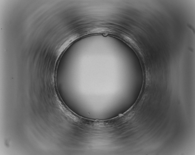 X0000100751330200807101654