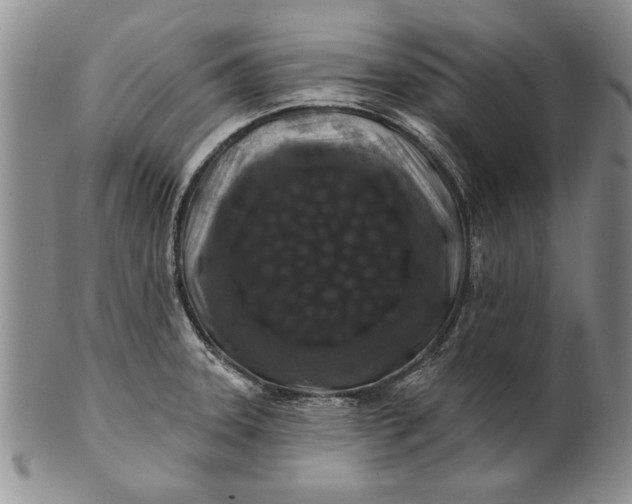 X0000100751331200807101654