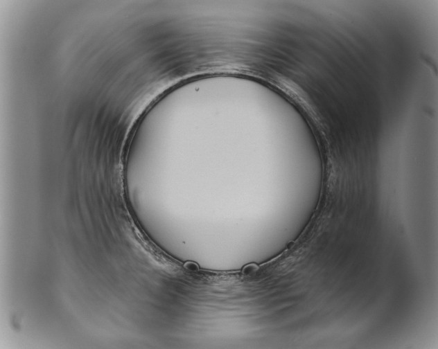 X0000100751332200807101654