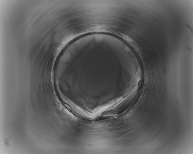 X0000100751334200807101654