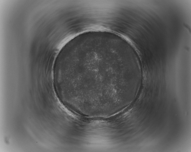 X0000100751335200807101654