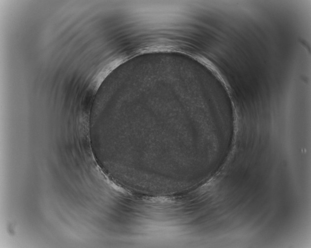 X0000100751337200807101654