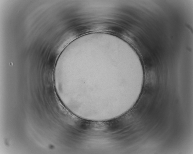 X0000100751338200807101654