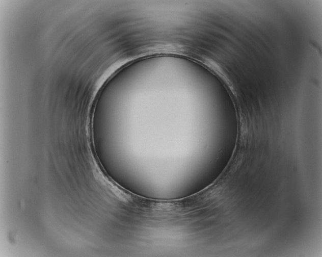 X0000100751339200807101654