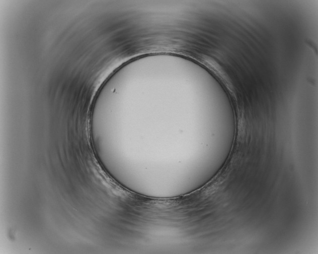 X0000100751340200807101654