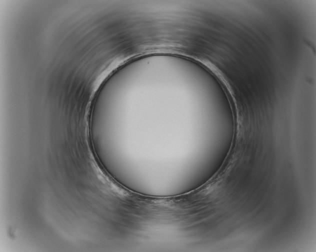 X0000100751341200807101654