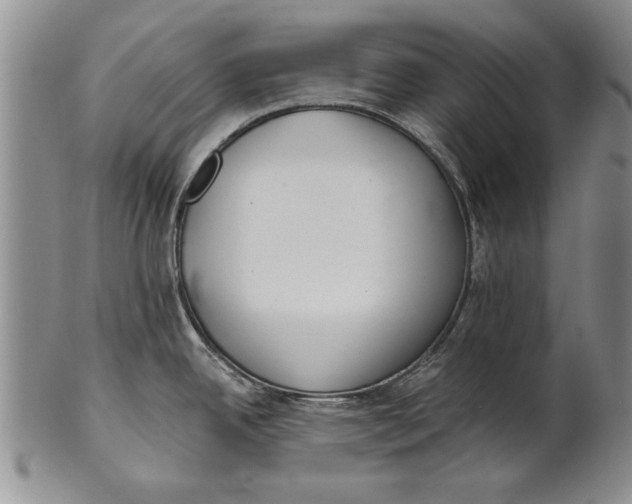 X0000100751342200807101654