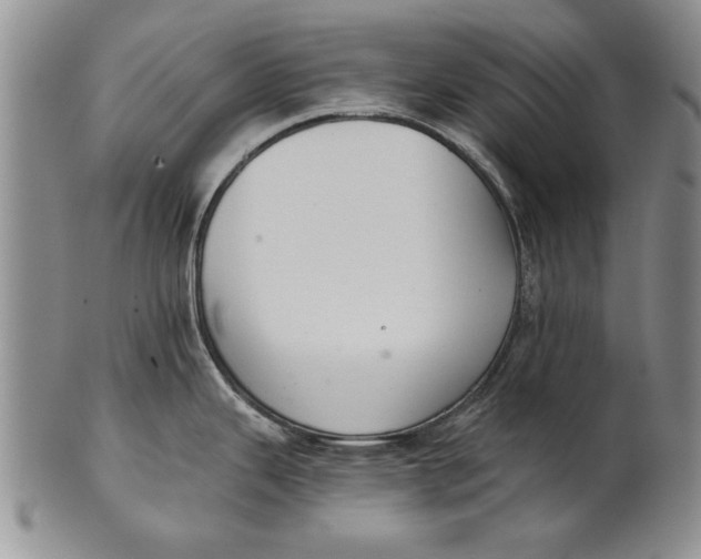 X0000100751343200807101654