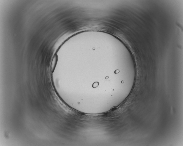 X0000100751344200807101654