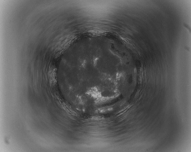 X0000100751346200807101653