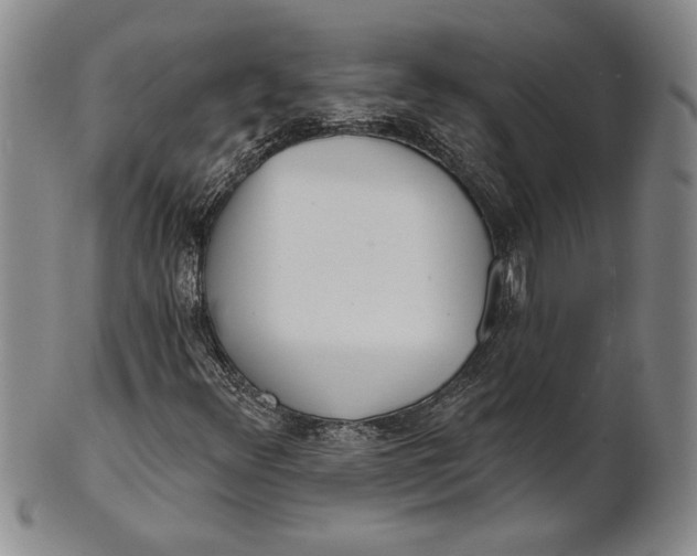 X0000100751348200807101653