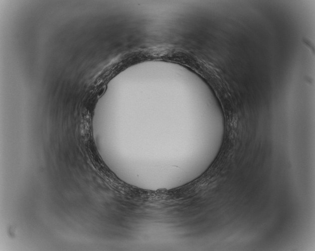 X0000100751349200807101653