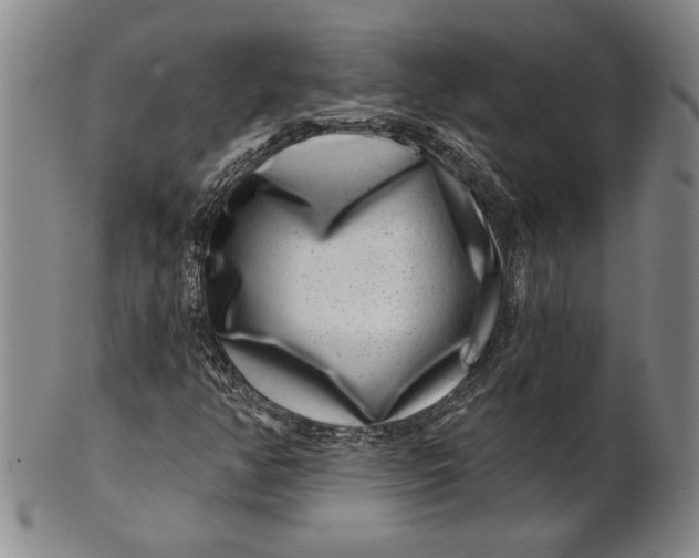 X0000100751350200807101653