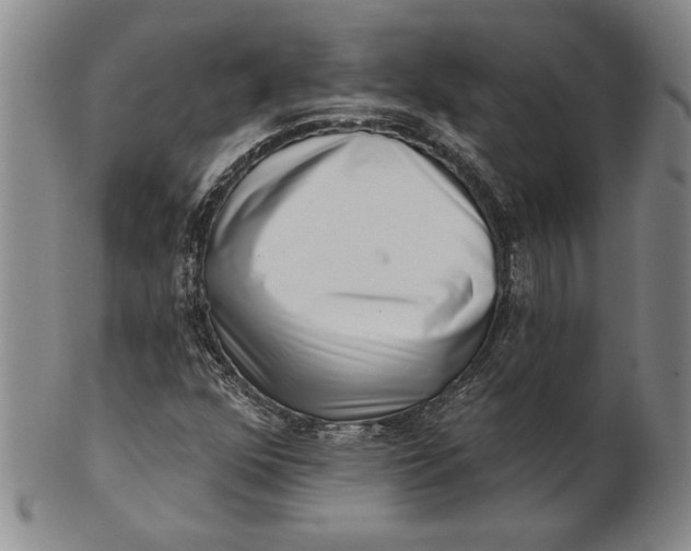 X0000100751352200807101653