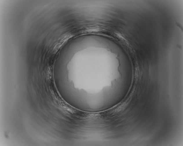 X0000100751353200807101653