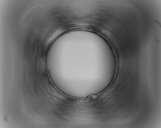 X0000100751354200807101653