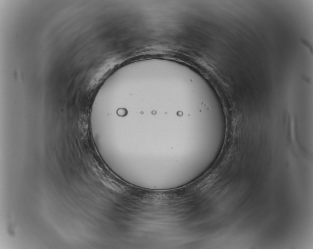 X0000100751355200807101653