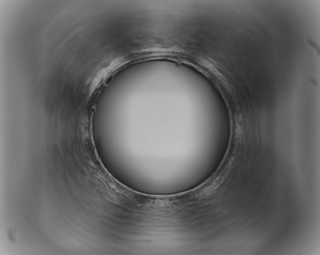 X0000100751357200807101653