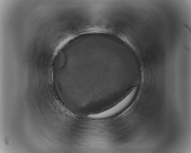 X0000100751358200807101653